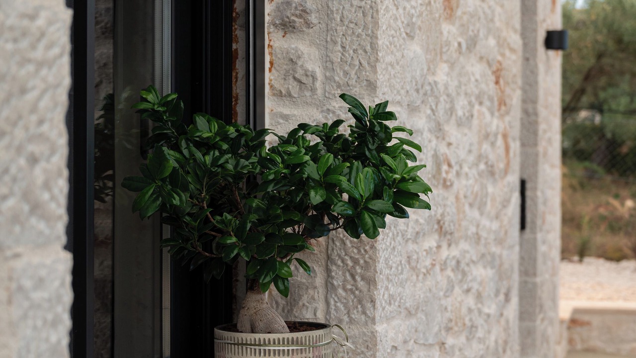 Photo of Outdoor in Mili