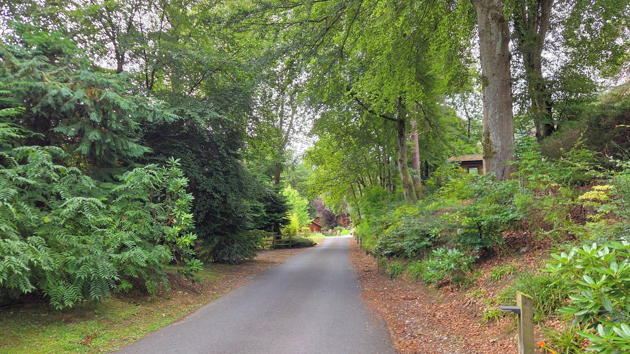 Photo of Outdoor in Birnam