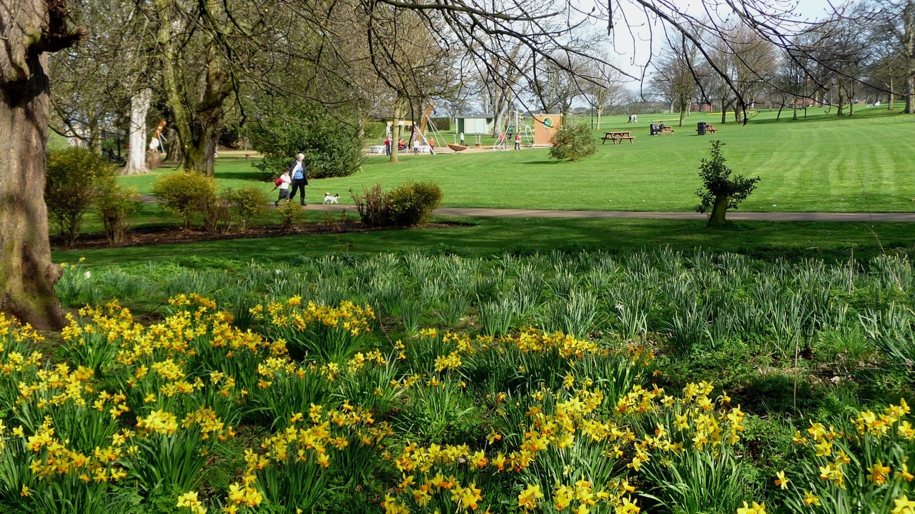 Photo of Outdoor in North Berwick
