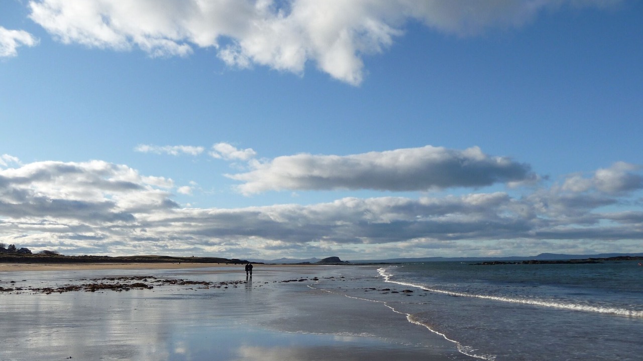 Photo of Others in North Berwick