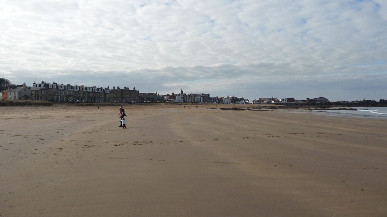 Photo of Others in North Berwick