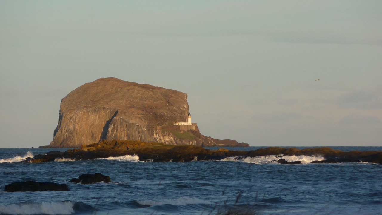 Photo of Others in North Berwick
