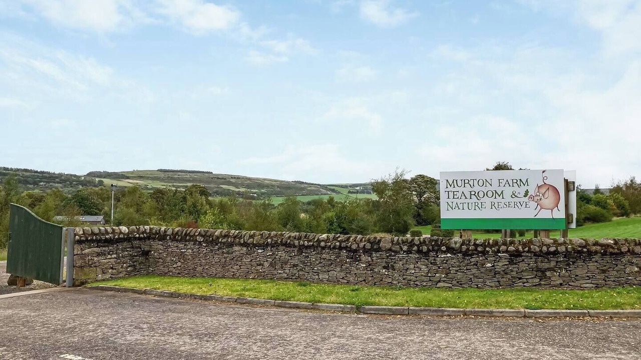 Photo of Outdoor in Forfar