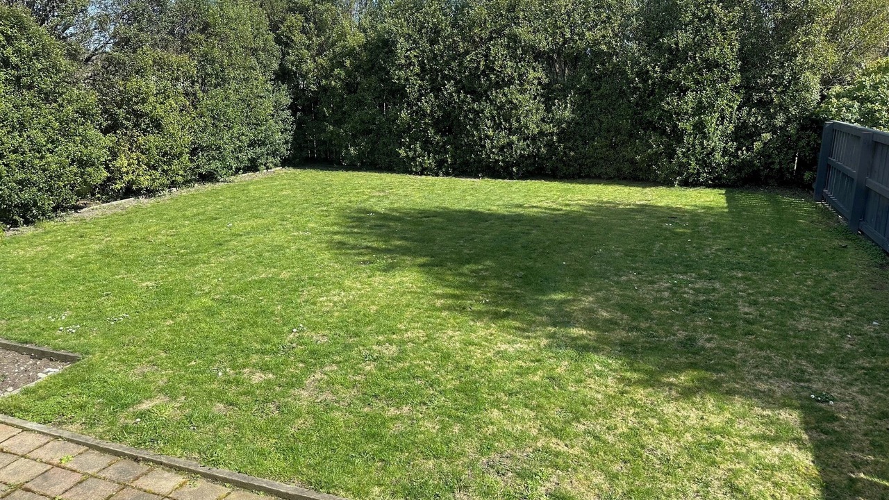 Photo of Outdoor in Springfield