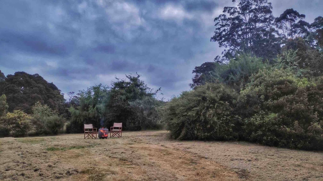 Photo of Others in Weldborough
