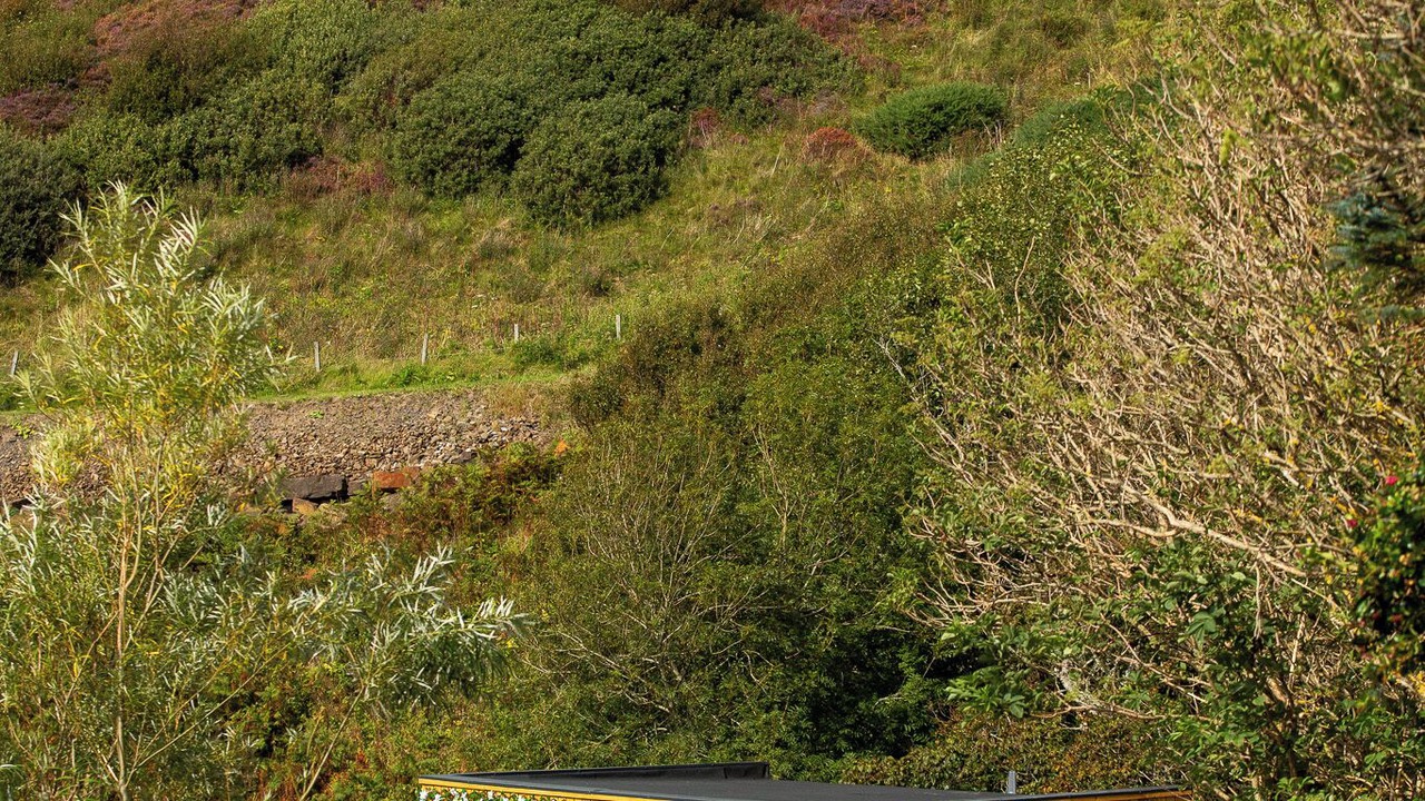 Photo of Outdoor in Lybster