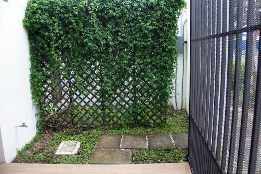 Photo of Outdoor in Mata Redonda