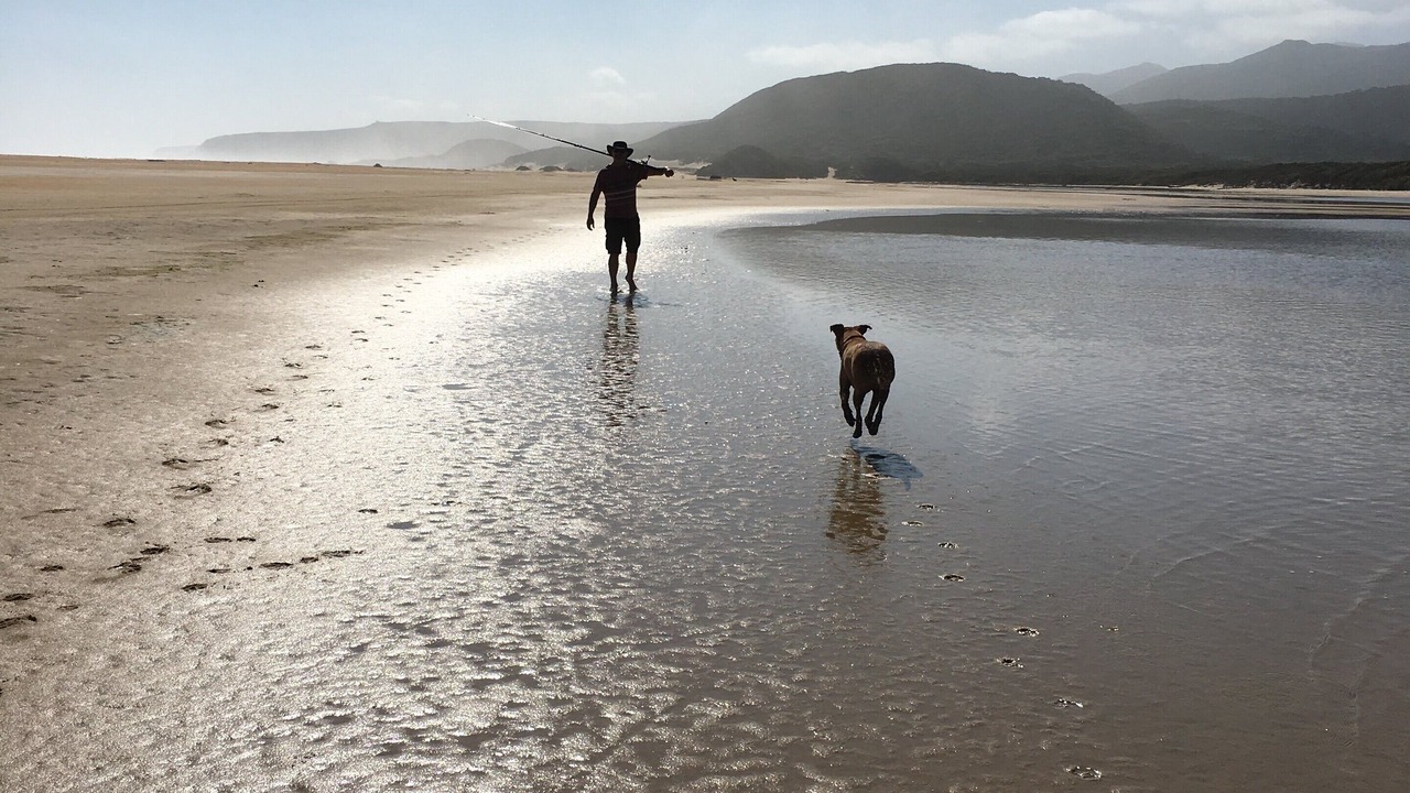 Photo of Others in Zeehan