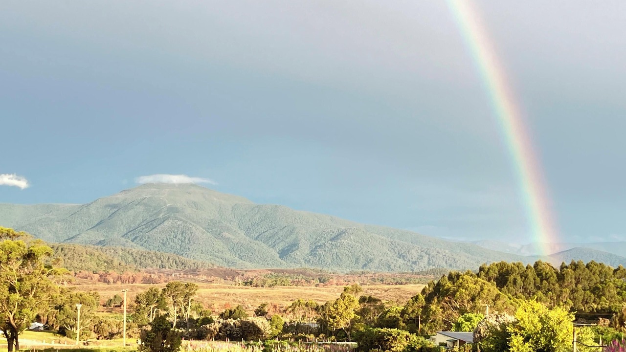 Photo of Others in Zeehan