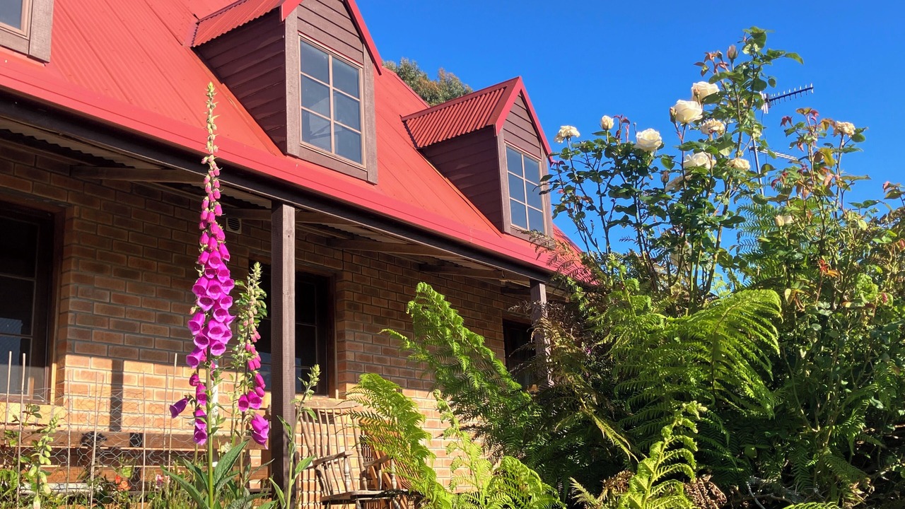 Photo of Outdoor in Zeehan