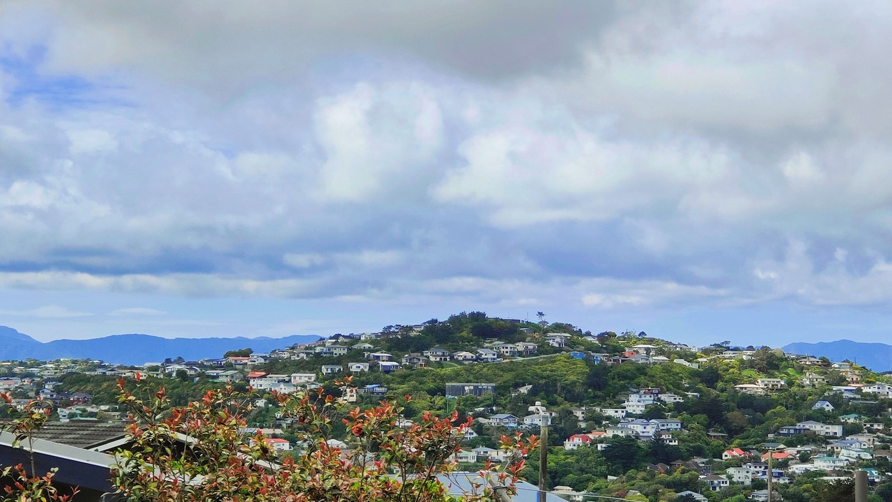 Photo of Others in Johnsonville