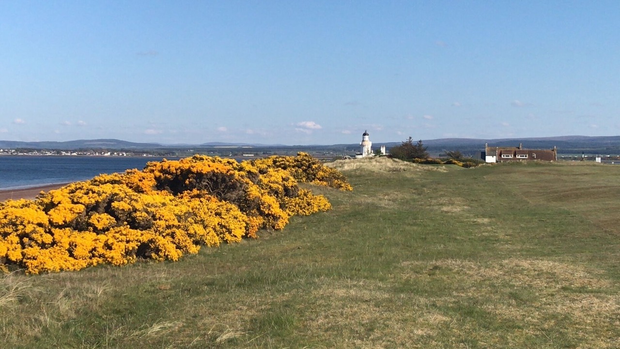 Photo of Others in Fortrose