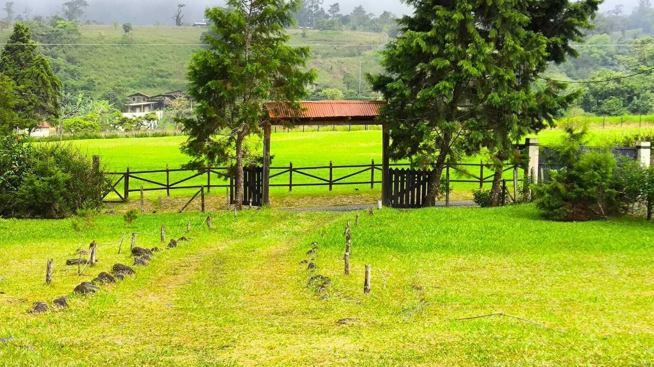 Photo of Outdoor in Toro Amarillo