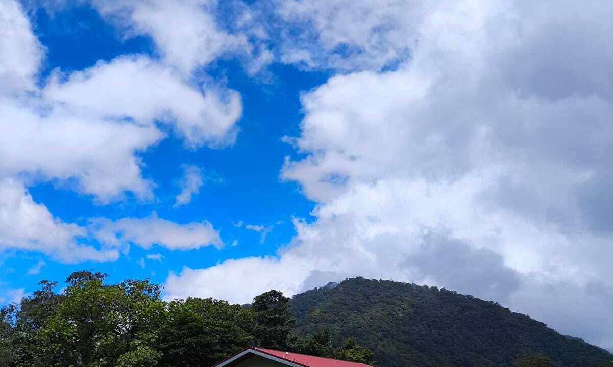 Photo of Outdoor in Toro Amarillo