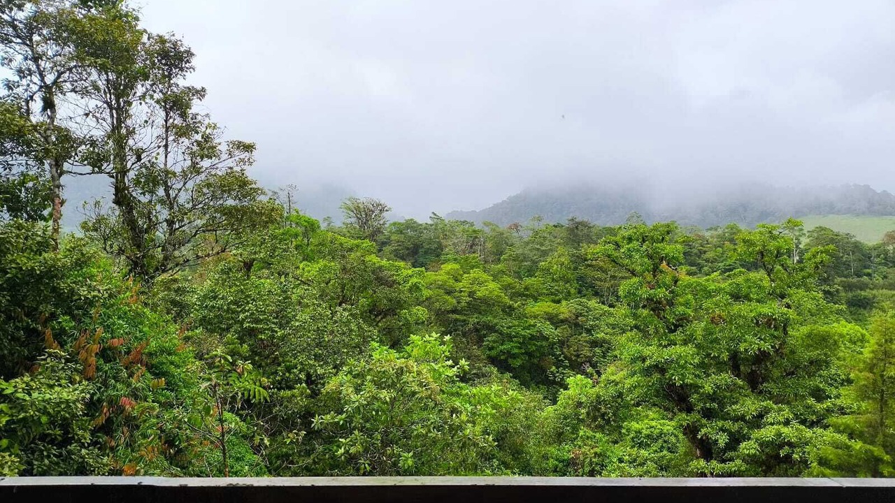 Photo of Outdoor in Toro Amarillo