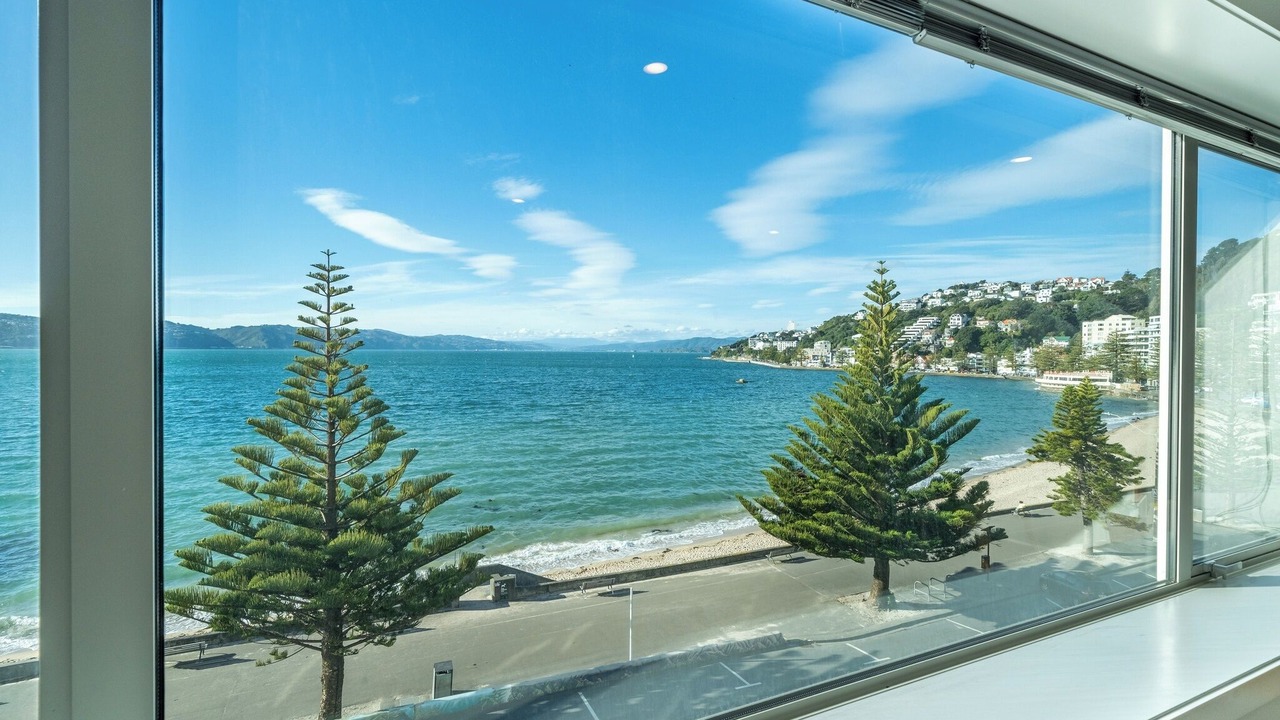 Photo of Others in Wellington