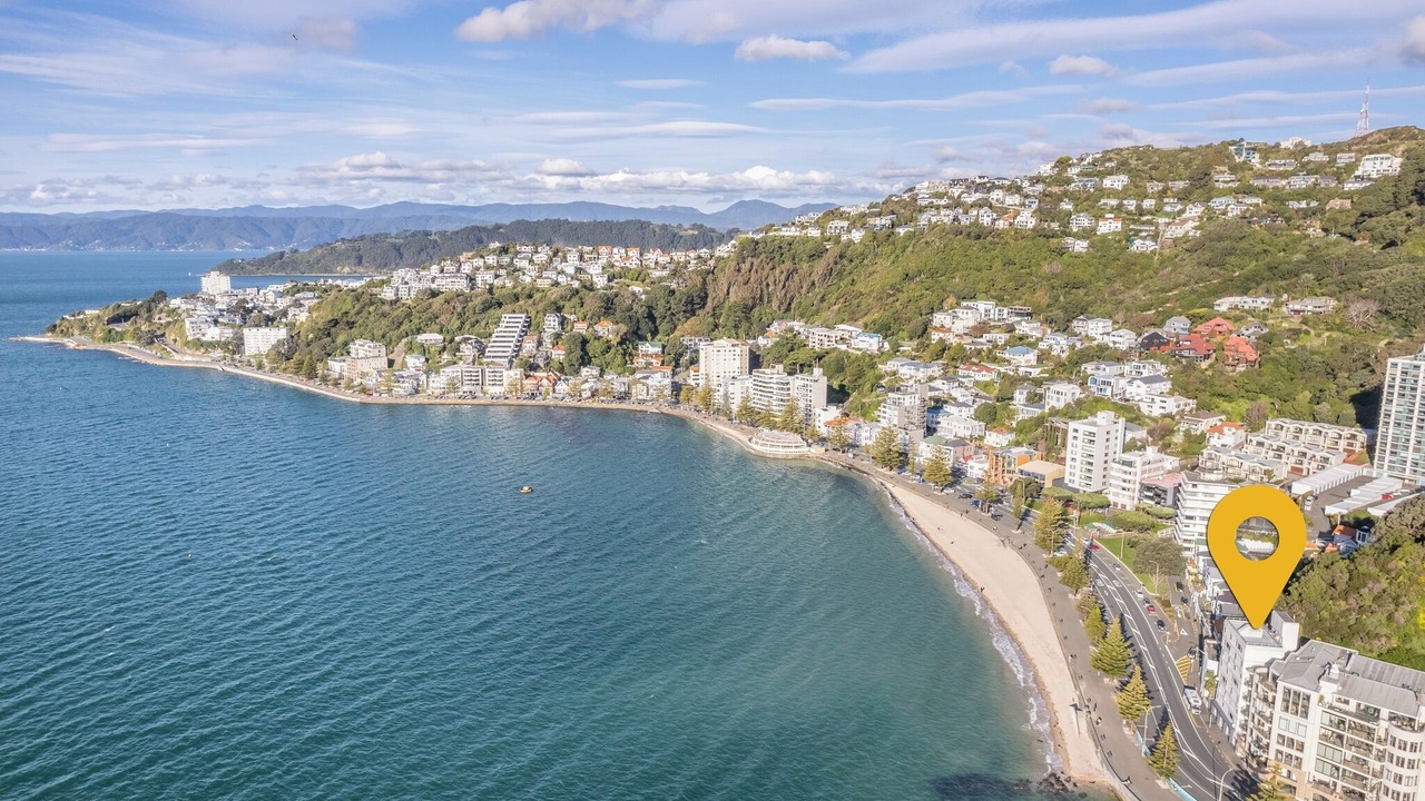 Photo of Outdoor in Wellington