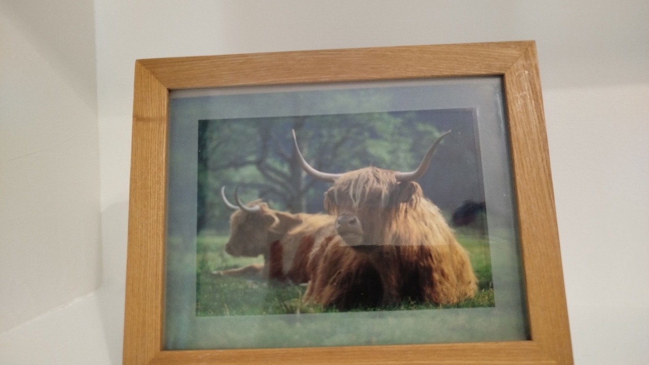 Photo of Others in Gorgie