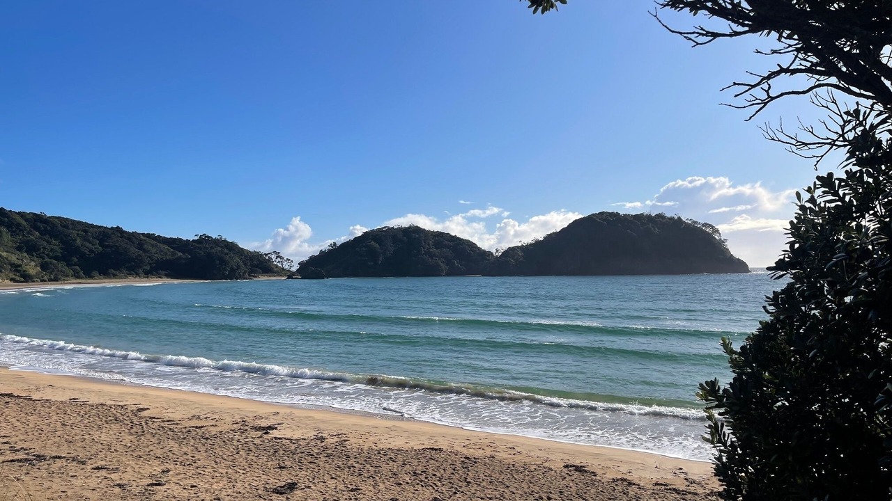 Photo of Others in Matapouri