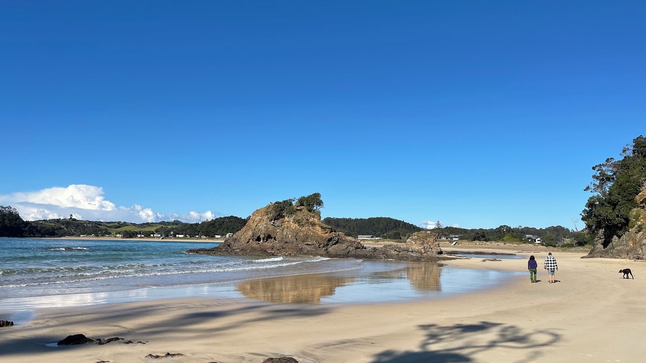 Photo of Others in Matapouri