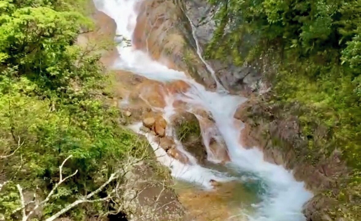 Photo of Others in Desamparados