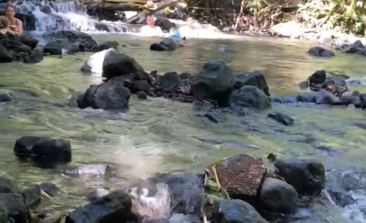 Photo of Others in Desamparados