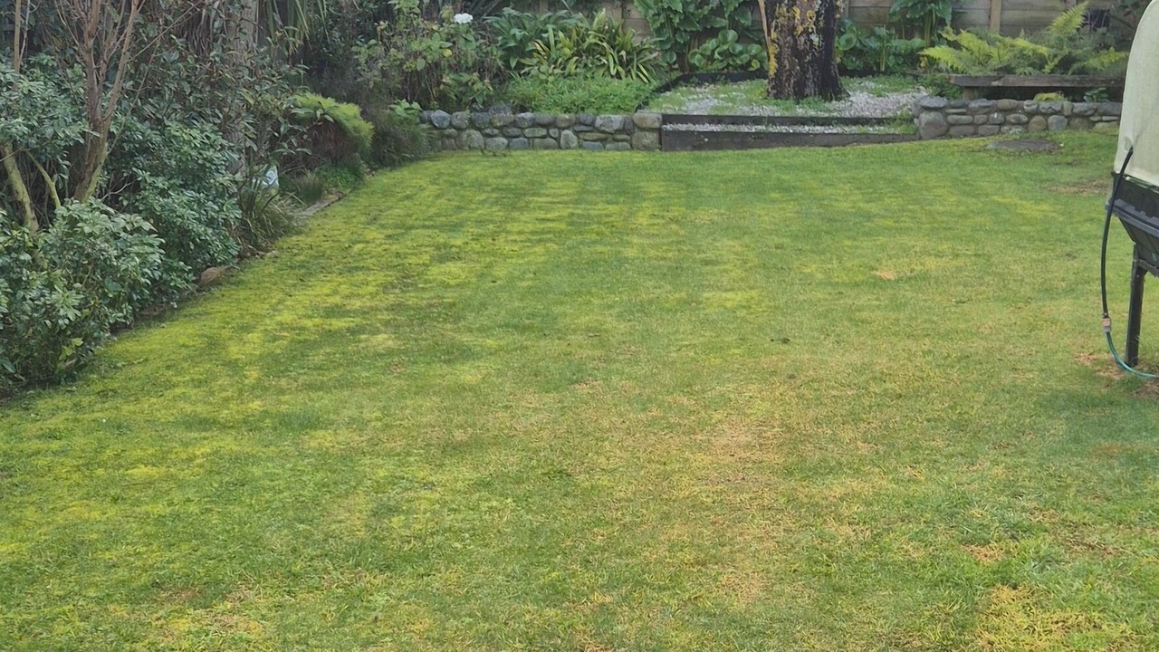 Photo of Outdoor in Paraparaumu