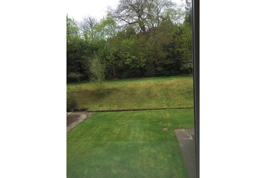 Photo of Others in Melrose