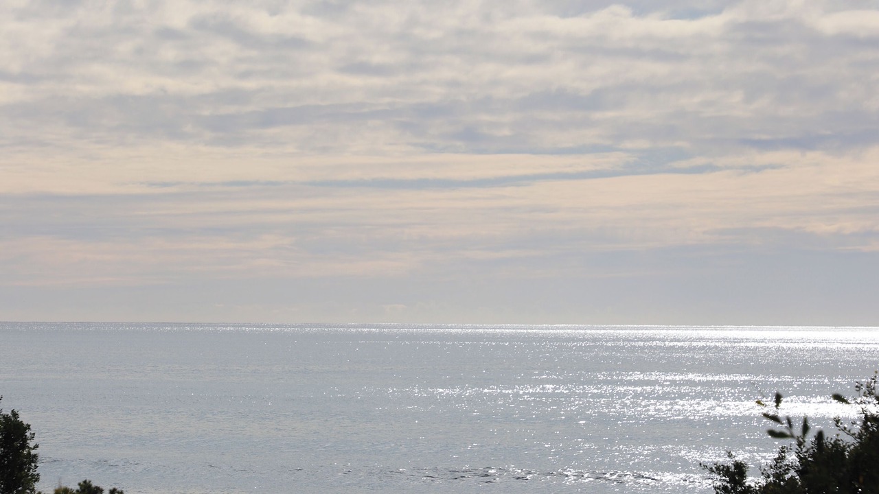 Photo of Others in Falmouth