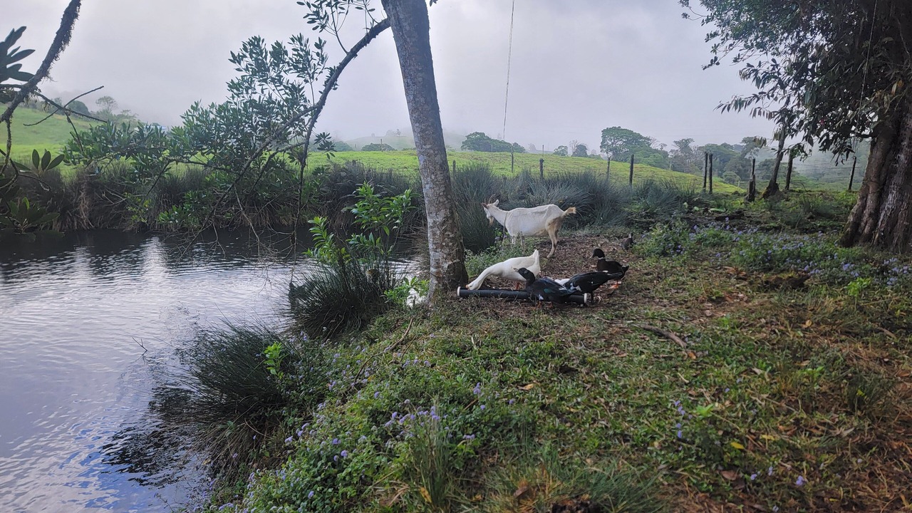 Photo of Others in Vara Blanca