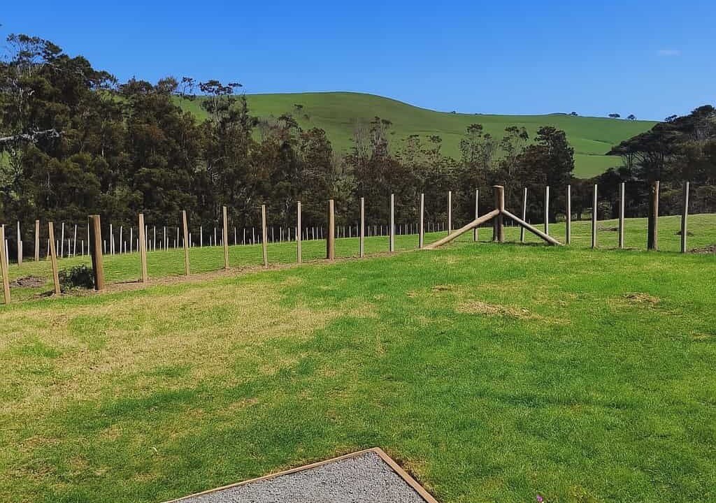 Photo of Outdoor in Muriwai