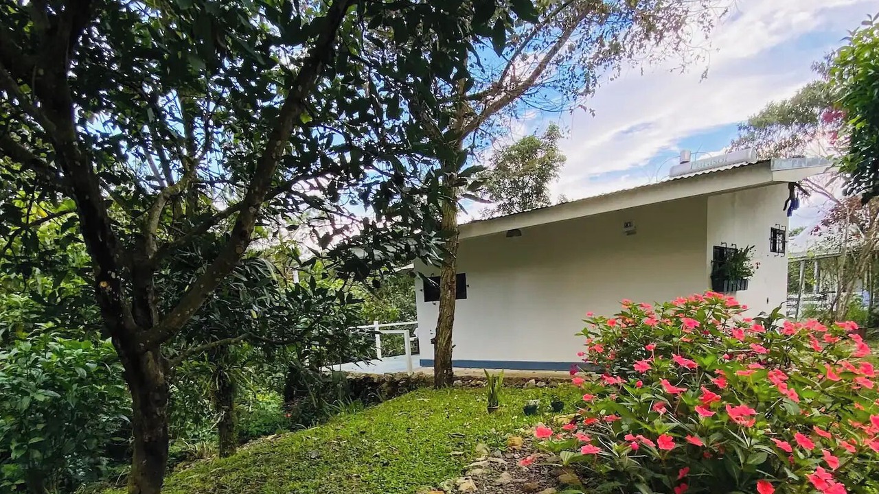 Photo of Outdoor in Roble