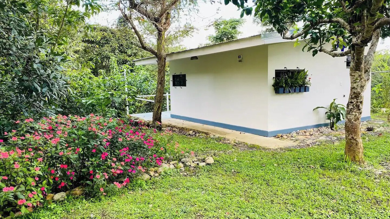 Photo of Outdoor in Roble