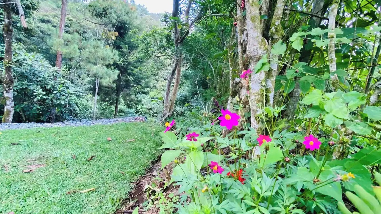 Photo of Outdoor in Roble