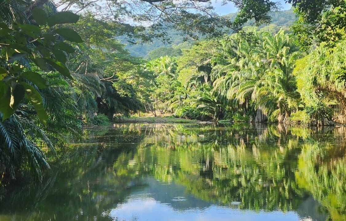 Photo of Bedroom in Tambor