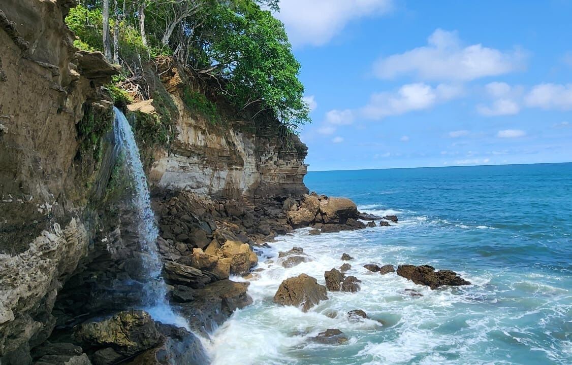 Photo of Others in Tambor