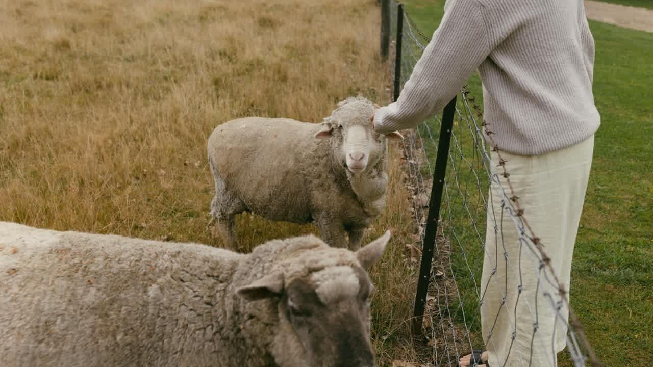 Photo of Others in Matakanui