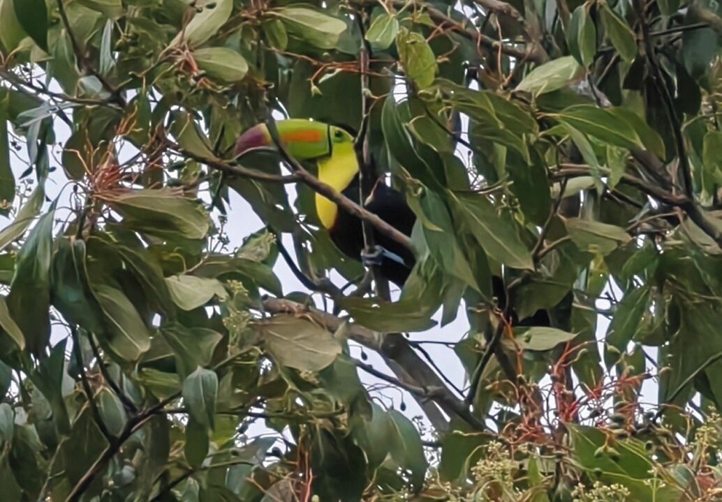 Photo of Outdoor in Garabito