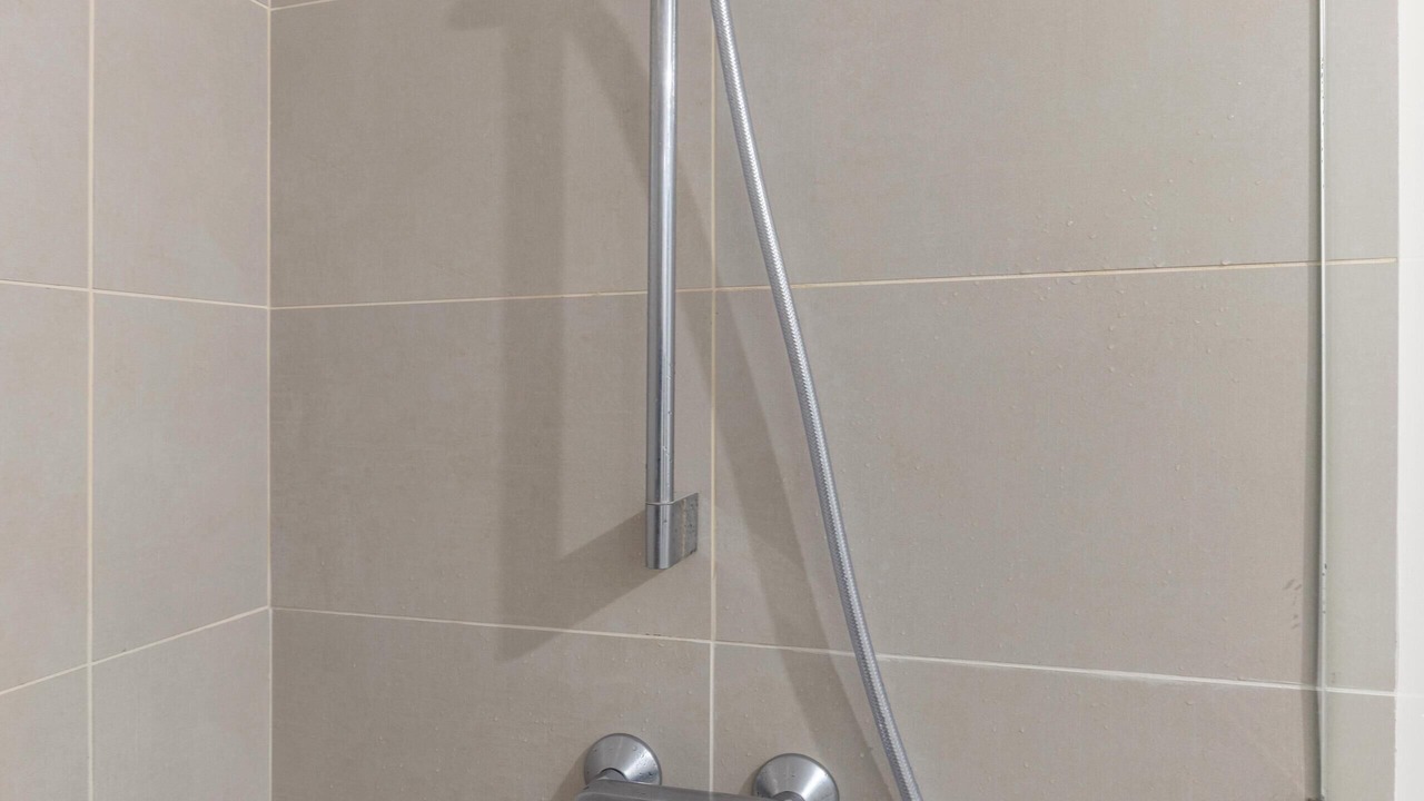 Photo of Bathroom in Curridabat