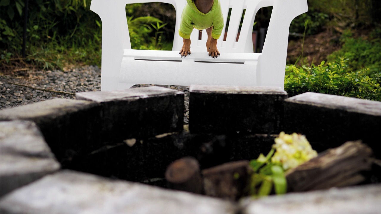 Photo of Outdoor in Poas Volcano National Park