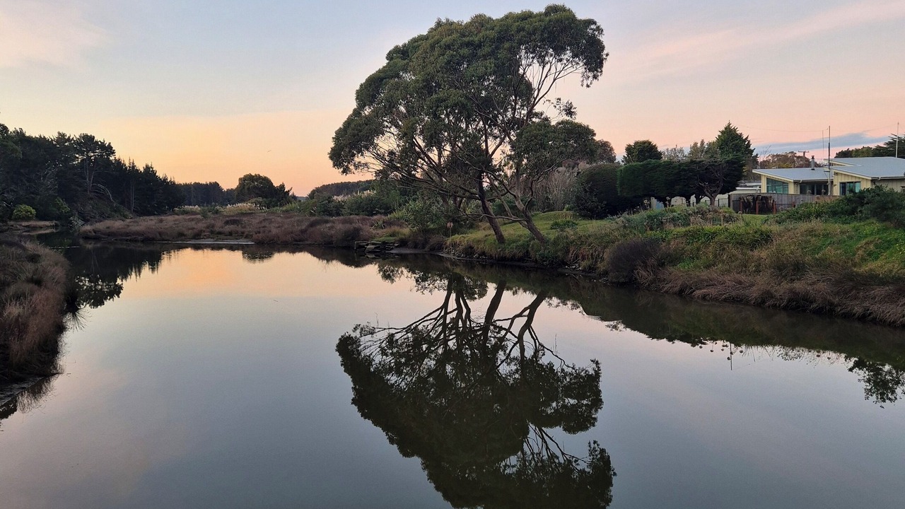 Photo of Others in Waikawa Beach