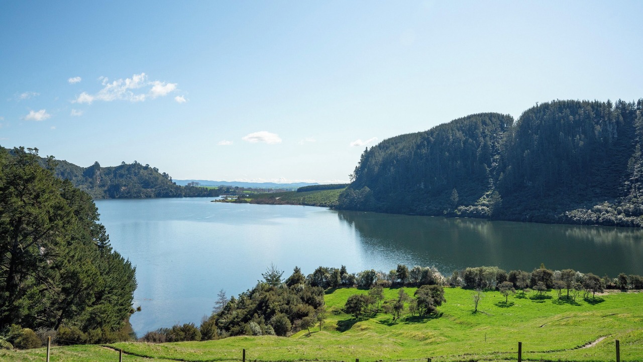 Photo of Outdoor in North Island