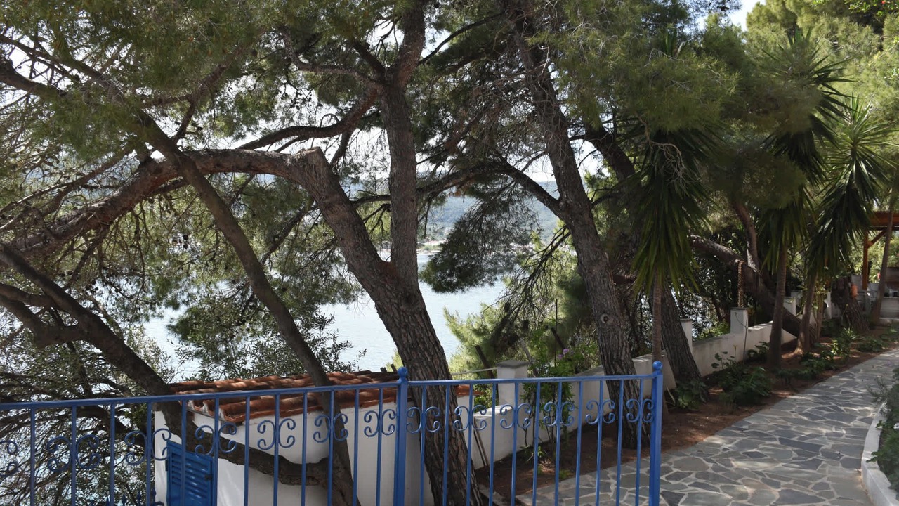 Photo of Outdoor in Punta
