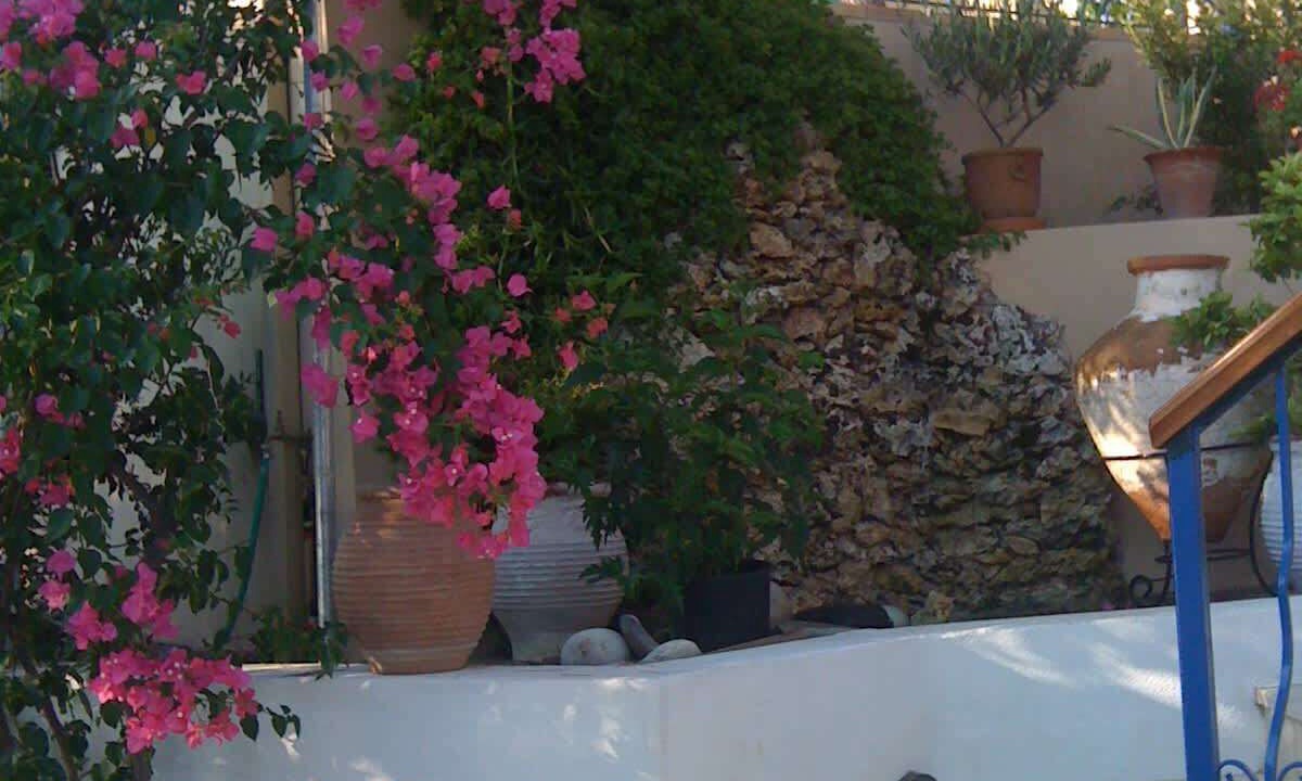 Photo of Outdoor in Punta
