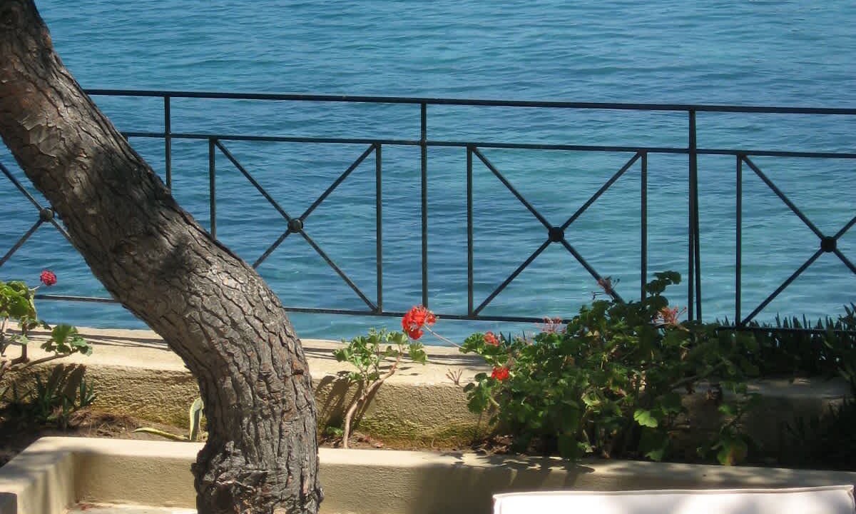 Photo of Outdoor in Punta