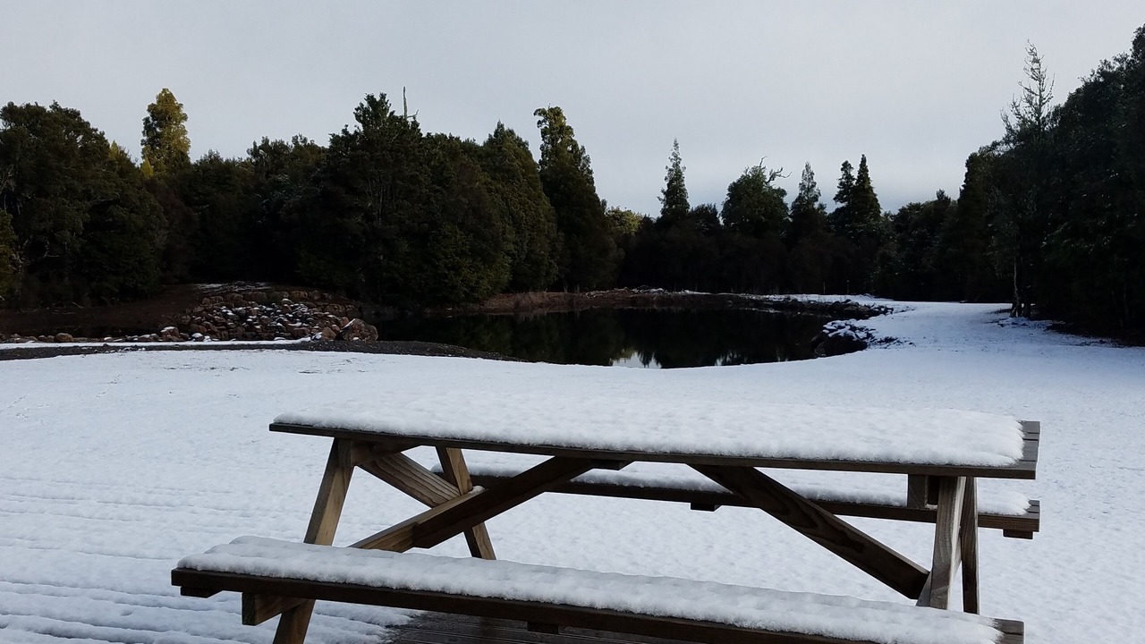 Photo of Outdoor in Horopito