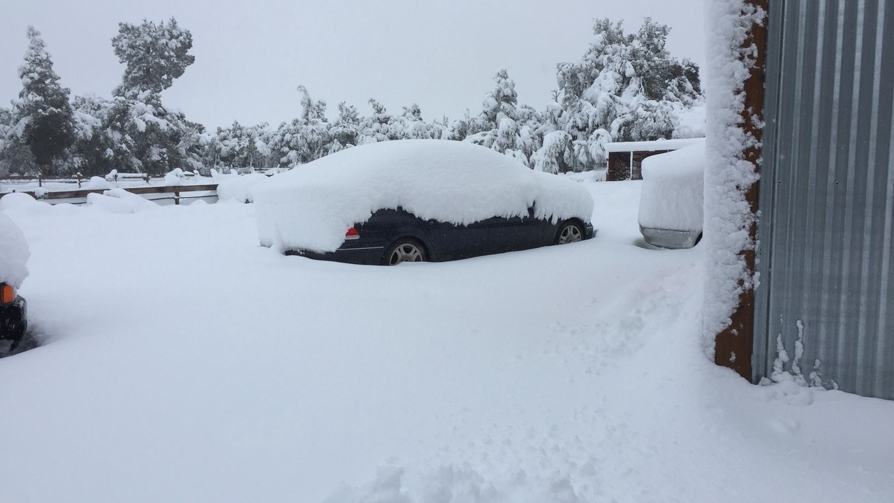 Photo of Outdoor in Horopito