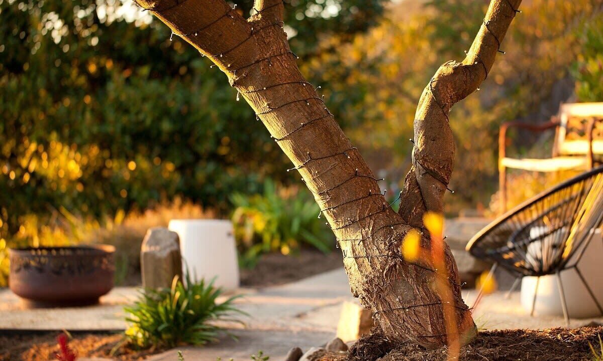 Photo of Outdoor in Blackmans Bay