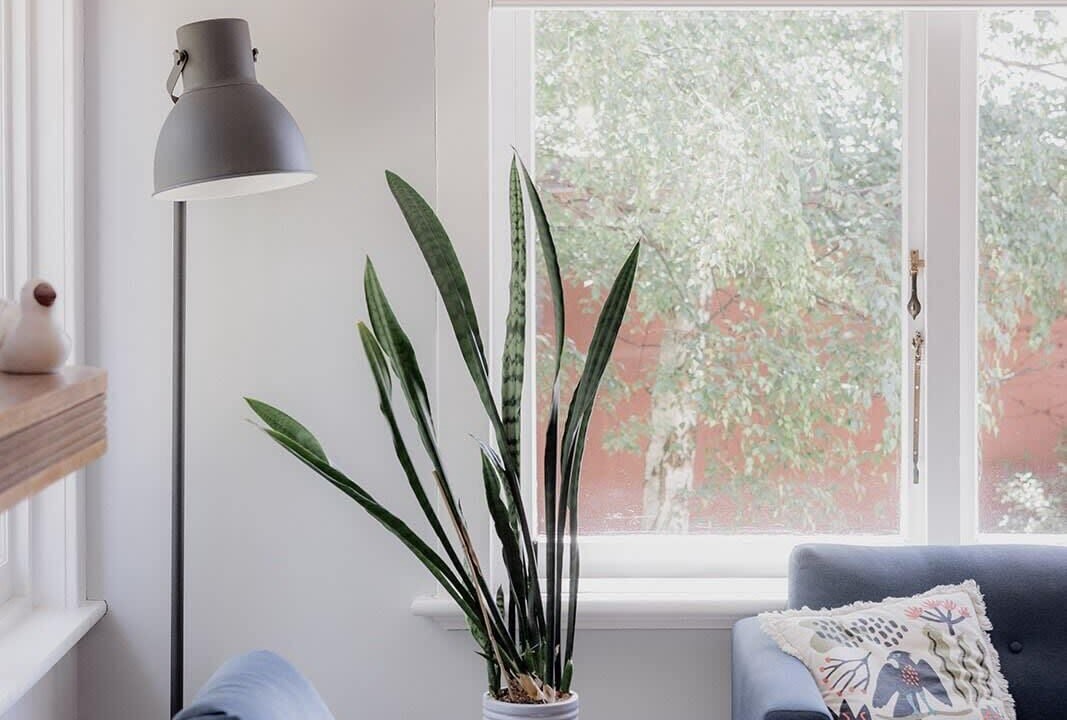 Photo of Livingroom in Sandy Bay