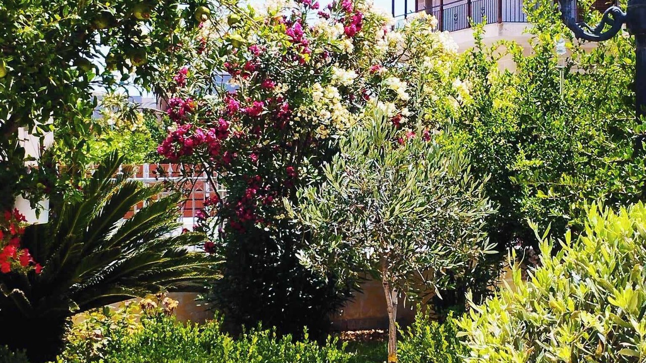 Photo of Outdoor in Assos-Lechaio